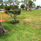 Alex Harper in 'Bottomless Blows'