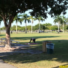 Aria Jade in 'Arias pussy'