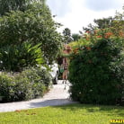 Brooklyn Chase in 'Strapped up'