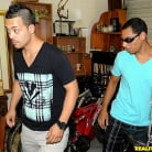 Cara Swank in 'Down to business'