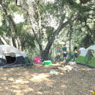 Cassidy Banks in 'Into The Wild'