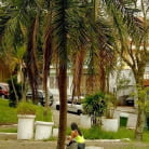 Celiny Salles in 'The gift'