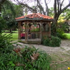 Debra Stokes in 'Stokes strokes'