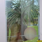 Kaci Lynn in 'Wet and willing'