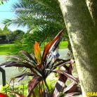 Kandi Quinn in 'Taste Like Kandi'