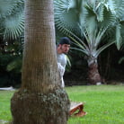 Kendall Woods in 'Do It Harder'