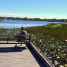 Texas girl in 'Stroke and suck'