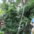 Raeleen Ryder in 'Titty tickle'