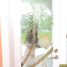 Sara Luvv in 'Sweet luvv'