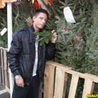 Selena Kyle in 'Holiday hottie'