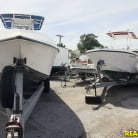 Stevie K Foxx in 'Sloppy Sucking'