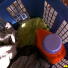 Tricsy Star in 'Tricsys tricks'