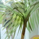 Amber Gray in 'Play With It'