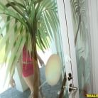 Bailey Bradshaw in 'Booty on bailey'