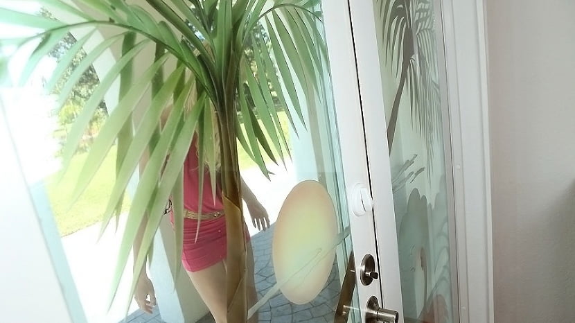 Booty on bailey
