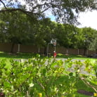 Charlie Nash in 'Facial Fun'