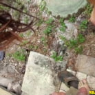 Hazel Allure in 'Pull over'