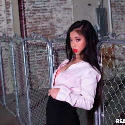 Chainlink Tease