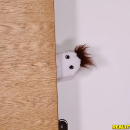 Sock My Puppet