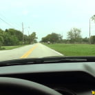 Katrina Wilson in 'Pussy kat'