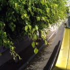 Kylie Sinner in 'Just A Lift'