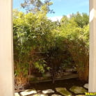 Lotus Lain in 'Lusty lotus'