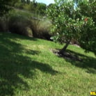 Mila Treasure in 'Titty treasure'