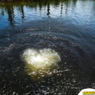 Penny Nichols in 'Pretty penny'