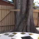 Pressley Carter in 'Golden Rod'