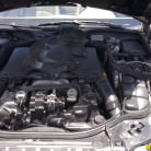 Pressley Carter in 'Golden Rod'