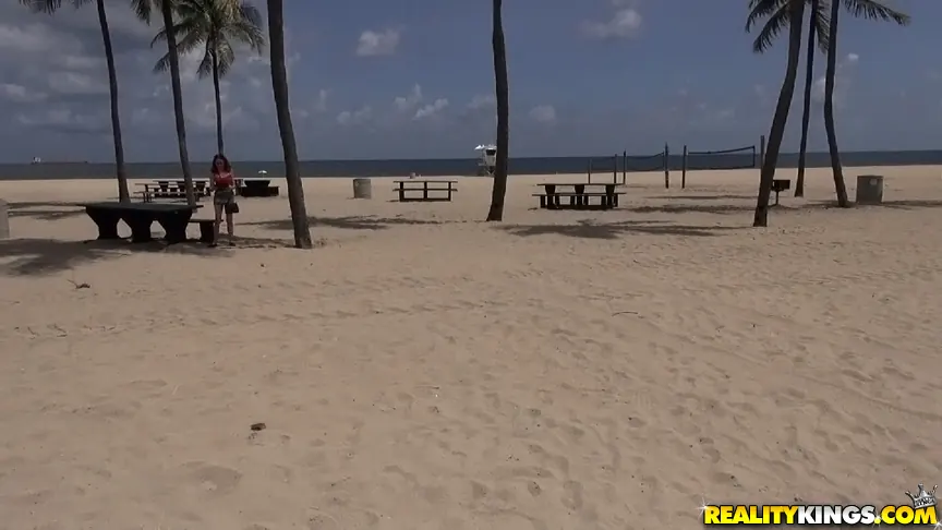 Rose Shadows - Rose blows | Picture (1)