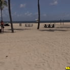 Rose Shadows in 'Rose blows'