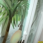 Sam Summers in 'Sweet summers'