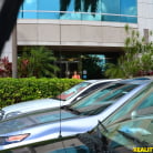 Sarah Miller in 'Sling shot'