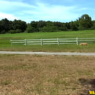 Sonny Nash in 'Sonny Side Up'