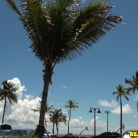 Taylor Kay in 'Hot head'